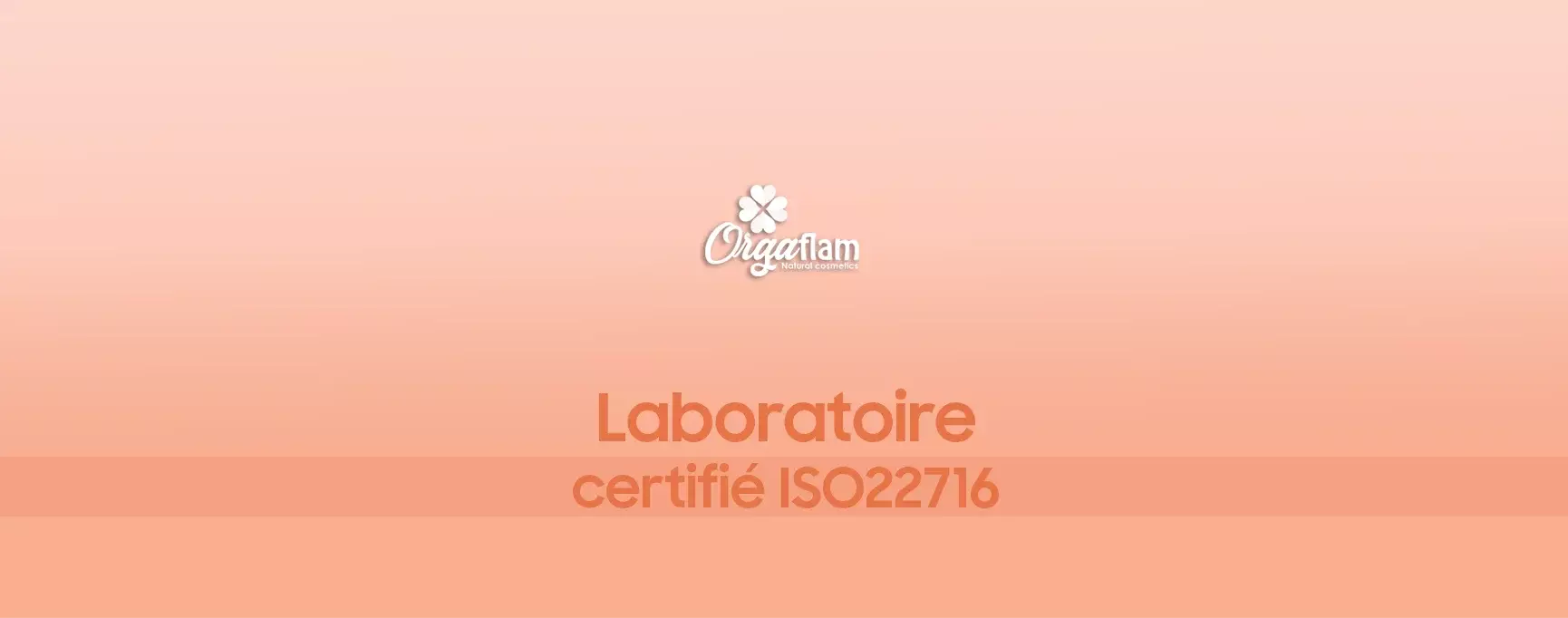 iso 22716 iso 22716
